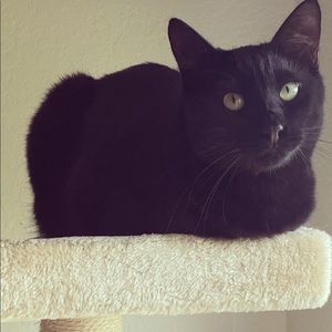 Meet your Posher, Sara